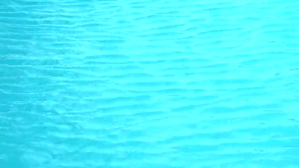 Onda aqua na superfície da água na natação cor azul claro — Vídeo de Stock