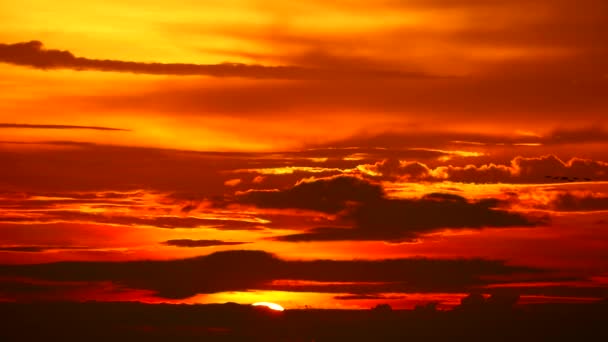 Pôr-do-sol de volta escuro céu vermelho nuvem chama e pássaros voando para casa — Vídeo de Stock