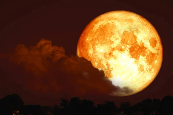 Luna de esturión roja en la noche silueta trasera cielo rojo árbol — Foto de Stock