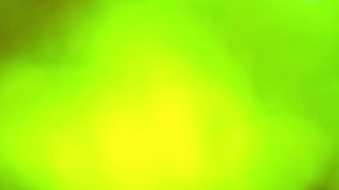 yeşil soyut bulanıklık bahçede renkli yaprakları çiçek ağacı