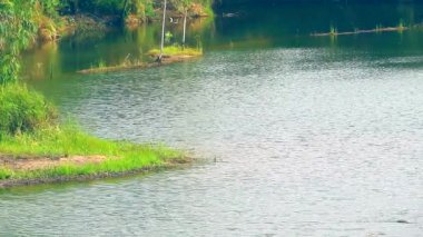 su yüzeyinde göl ve dalga etrafında yeşil bitkiler