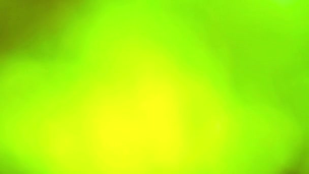 vert abstrait flou feuilles colorées arbre à fleurs dans le jardin 