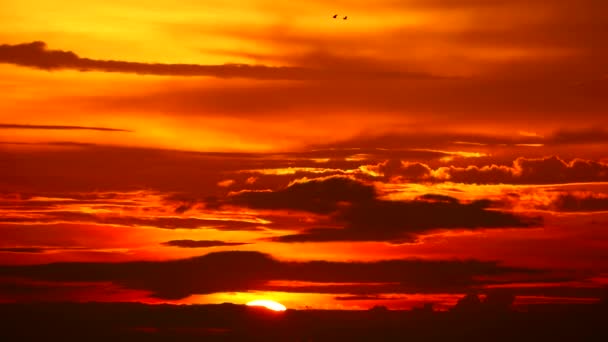 Закат назад темно-красное облако пламя небо и птицы улетают домой — стоковое видео