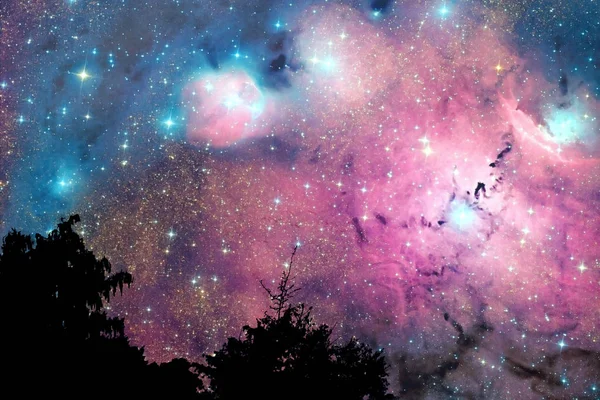 Blur galaxy nebula back on night cloud  sky on tree — Stock Photo, Image