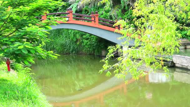 Reflejo de puente de asia vintage y hojas verdes y bambú en el agua — Vídeo de stock