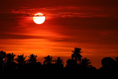 gün batımı ve kırmızı gökyüzünde renkli alev bulutsiluet ağacı