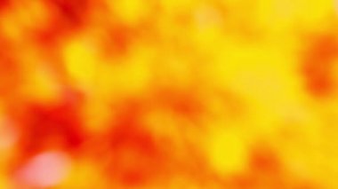 kırmızı turuncu soyut bulanıklık renkli yaprakları bahçede çiçek ağacı