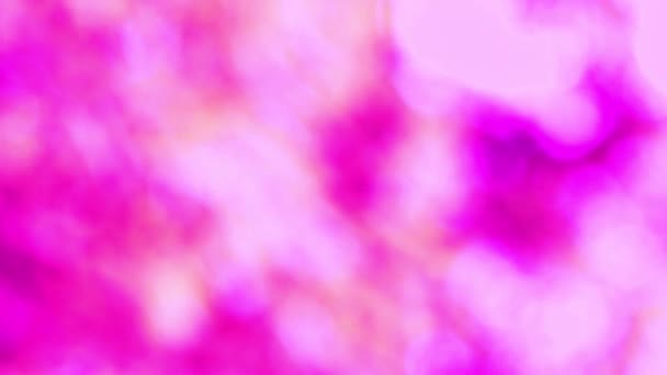 Magenta rosa abstracto desenfoque hojas coloridas árbol de flores en el jardín — Vídeos de Stock