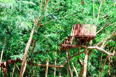 kulübe ahşap ve köprü günlük macera activi için orman inşa edildi