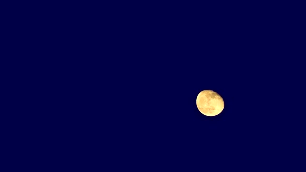 Krew księżyc poruszać się na ciemnym nocnym niebie i przechodzącej linii elektrycznej — Wideo stockowe