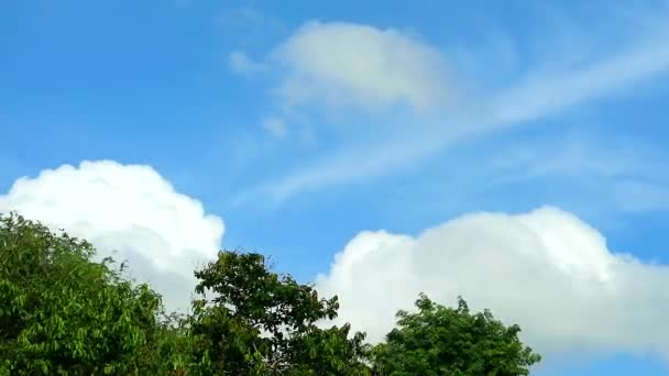 Cielo azul con puro movimiento de nubes blancas pase verde árbol superior — Vídeo de stock