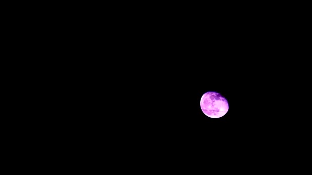 Lune rose se déplacer sur le ciel nocturne sombre et passant ligne électrique — Video