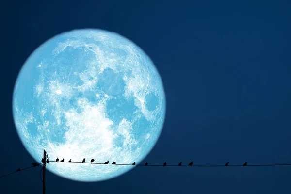 super strawberry moon back on silhouette birds on electric pole