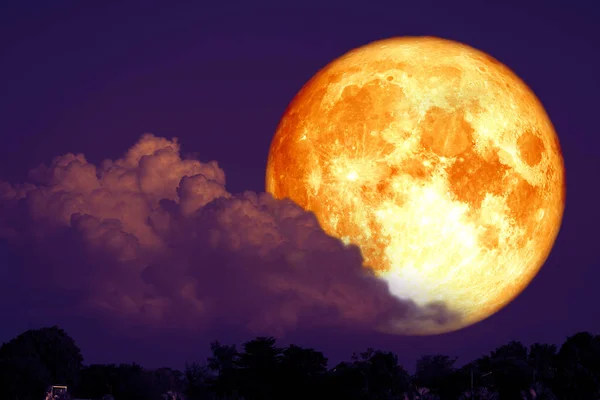 Bulan sturgeon merah pada malam hari langit merah kembali siluet pohon — Stok Foto