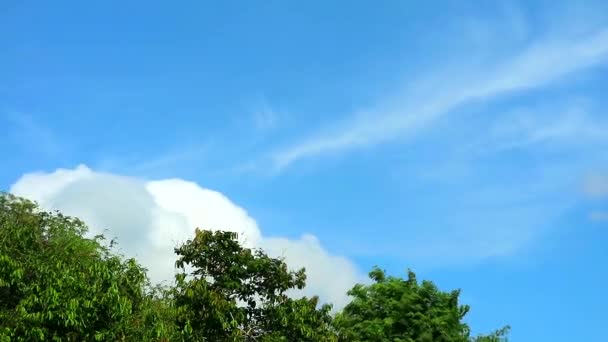 Cielo azul con puro con movimiento de nubes blancas pase verde árbol superior1 — Vídeos de Stock