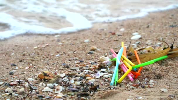 Tramonto sul mare con molte cannucce sono lasciati sulla spiaggia e le onde li ha soffiati in mare1 — Video Stock