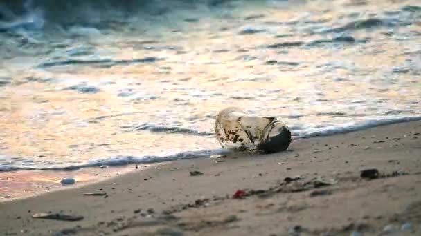 プラスチックガラスと廃棄物で海の夕日はビーチに残され、波は海にそれらを吹き飛ばしました — ストック動画