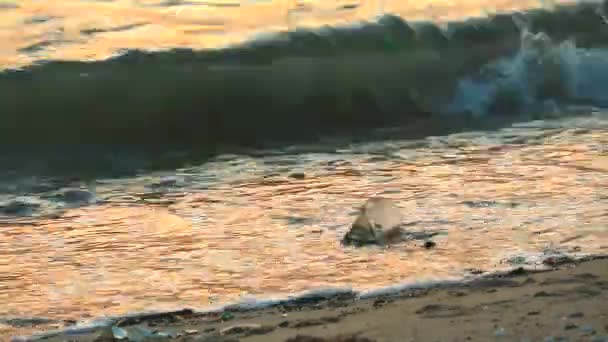 Puesta de sol en el mar con vidrio de plástico y los residuos se dejan en la playa y las olas los soplaron en el mar3 — Vídeos de Stock