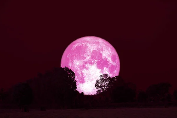 Luna de trueno llena en el cielo nocturno de vuelta sobre el bosque de siluetas —  Fotos de Stock