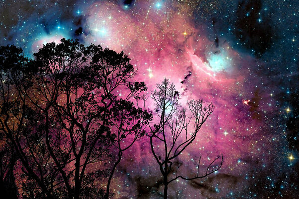 Blur galaxy nebula back on night cloud sky silhouette on tree, Elements of this image furnished by NASA