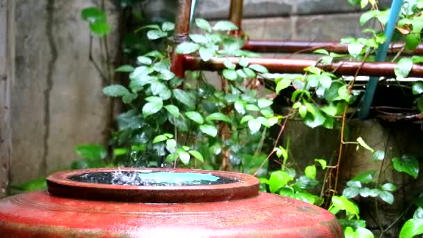 Regenwater stroomt in een grote pot, dorpelingen zullen water verzamelen voor gebruik in het droge seizoen — Stockvideo