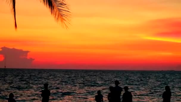 Silueta familia y personas en playa mar y puesta de sol nube en el cielo — Vídeo de stock