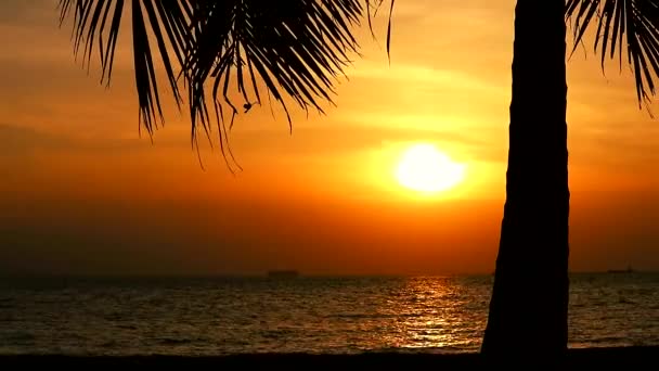 Nube de puesta de sol en el mar y la silueta de cocotero — Vídeo de stock