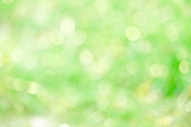 soyut süslü doğa sınır ve bulanıklık bokeh yeşil