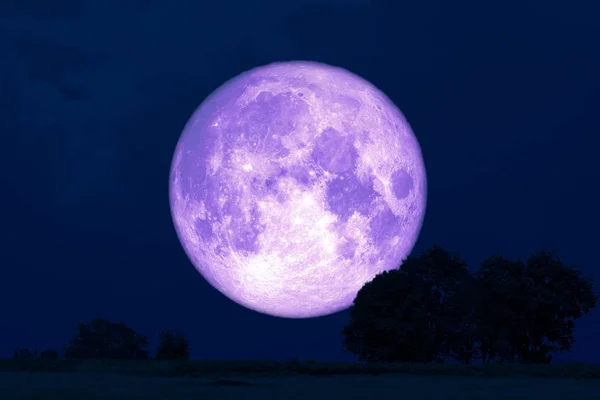 Super Rose Moon zurück Silhouette Bäume auf dem Feld — Stockfoto