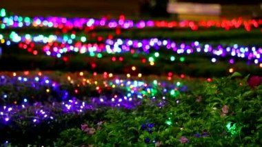 gece bahçesinde ağaç üzerinde bulanıklık bokeh gökkuşağı renk ışık dekorasyon