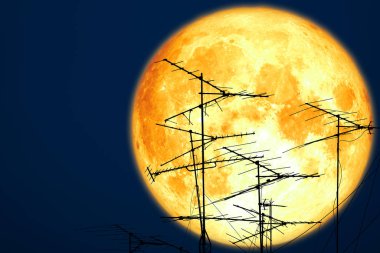 siluet atenna gece gökyüzü üzerinde aya geri tam karga