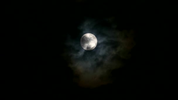 Harvest Moon vissza sziluettje átlátszó sötét felhő az éjszakai égen — Stock videók