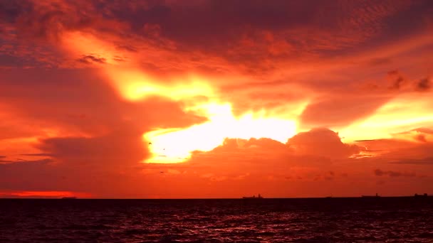 鸟儿飞落夕阳橙色黄色天空红色风暴云移动在海上和剪影货船和渔船移动 — 图库视频影像