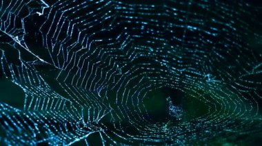 Örümcek Web üzerinde yağmur damlası bulanık açık mavi ve rüzgar tarafından hareket