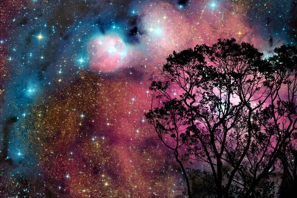 Verschwommener Galaxiennebel zurück am nächtlichen Wolkenhimmel auf Baum — Stockfoto
