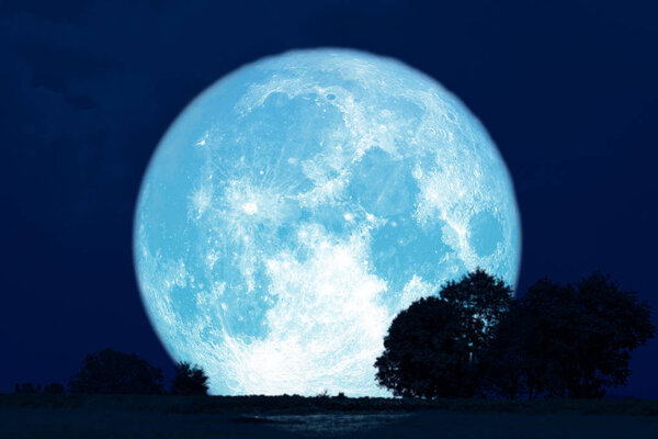 Силуэты Full Buck Moon в поле
