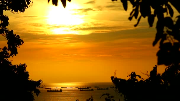 Coucher de soleil ciel jaune silhouette feuilles et nuage rouge en mouvement et les navires de charge parking sur la mer — Video