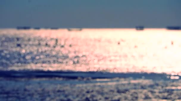 Verwischen Reflexion Sonnenlicht auf dem Meer und Vögel fliegen vorbei — Stockvideo