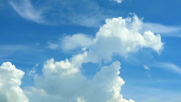 Δύο πουλιά που πετούν στο γαλάζιο του ουρανού με λευκό σύννεφο φόντο το καλοκαίρι — Αρχείο Βίντεο