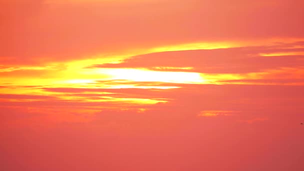 Aves volando sobre la puesta del sol cielo amarillo anaranjado y nube roja clara en movimiento — Vídeo de stock