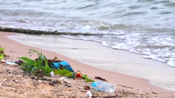 Puesta de sol en el mar con residuos de plástico y de fondo en la playa y las olas los llevaron al mar — Vídeos de Stock