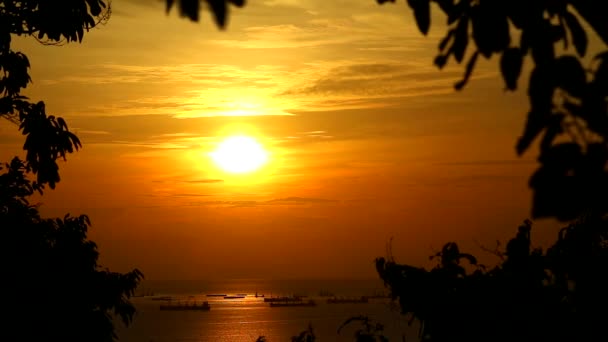 Sonnenuntergang rot gelb Himmel Silhouette Blätter rote Wolke bewegt und Frachtschiffe parken auf dem Meer — Stockvideo