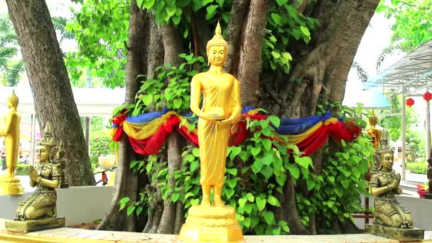 Φαγητό που προσφέρει σε στιλ Βούδα στον κήπο στο Nong Kead Yai Temple1 — Αρχείο Βίντεο