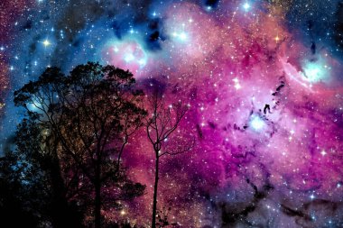 bulanıklık bulutsu galaksi geri gece bulut günbatımı gökyüzü siluet sütyen