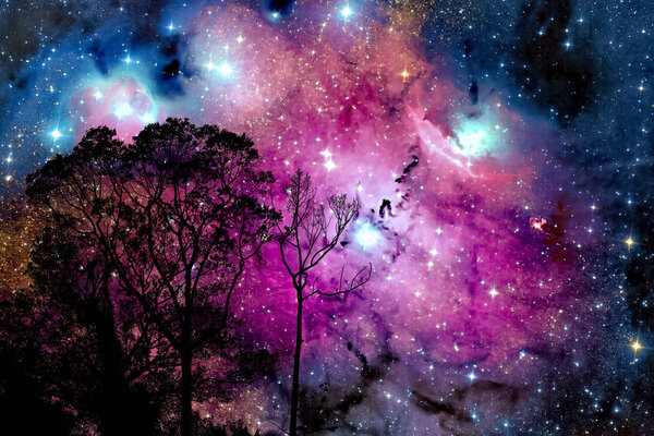 Blur nebula galaxy back on night cloud sunset sky silhouette branch and tree, Elements of this image furnished by NASA