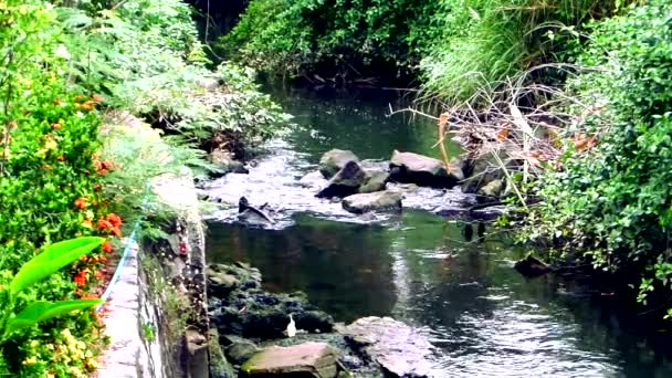 夕方の運河と壊れた岩石、コンセプトはきれいな運河を維持するために助けてください — ストック動画