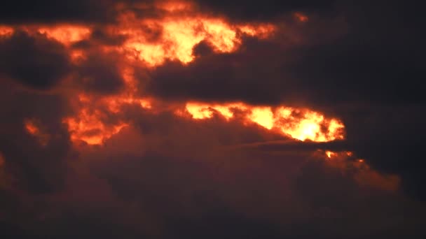 Pôr do sol laranja amarelo céu vermelho nuvem em movimento na silhueta tempestade nuvem — Vídeo de Stock