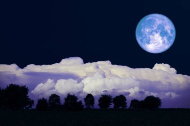 Rose Moon geri siluet ağaçları alanında