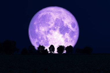 Süper Gül Ay geri alanında siluet ağaçları
