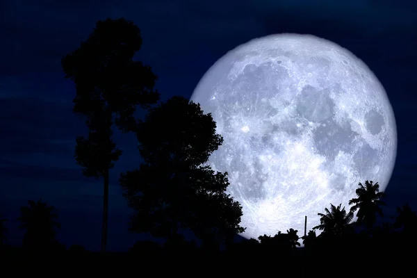 Full sturgeon moon on the night red sky back silhouette branch t — Stock Photo, Image